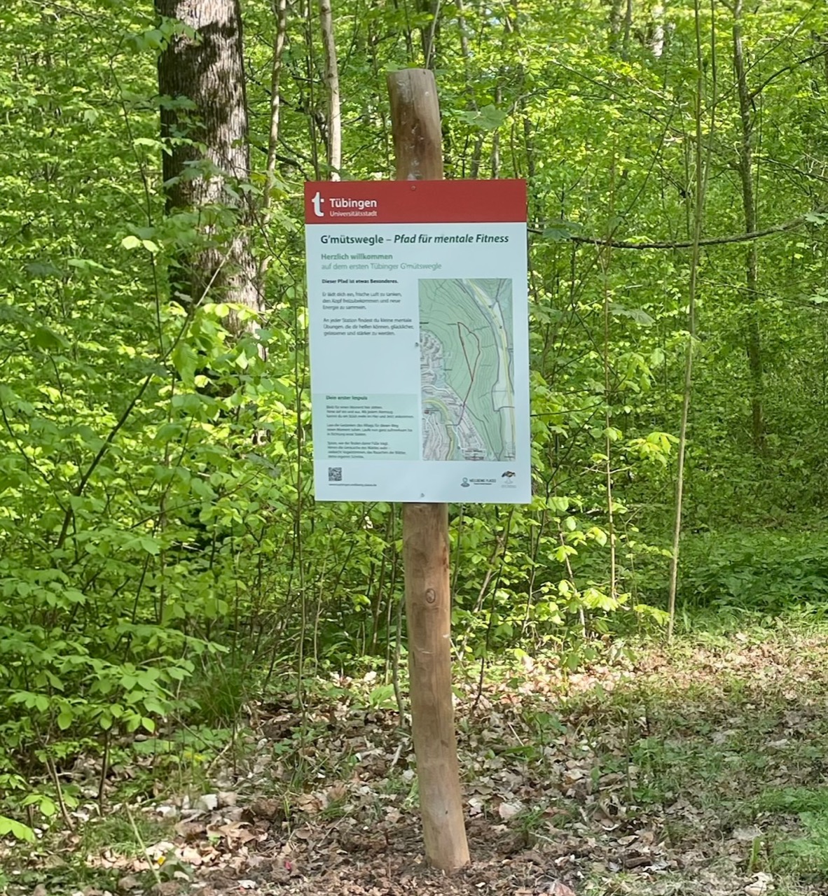 Die Eingangstafel des Tübinger G’mütswegle mit Übersichtskarte am Waldrand in Waldhäuser-Ost.